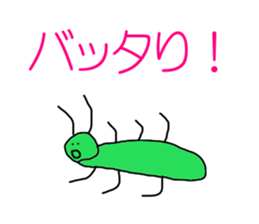 3677606