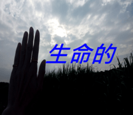 367855284