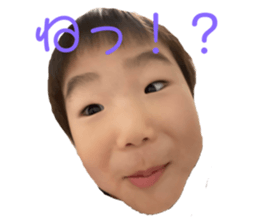 367944778