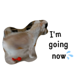 368098925