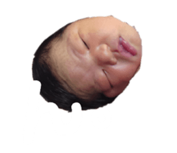 368104555