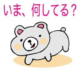 3681551