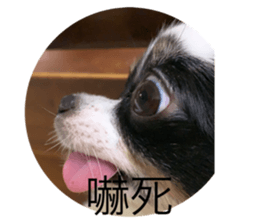 368190757