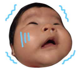 36821338