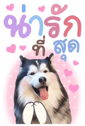 368234329
