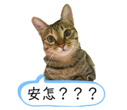 368239185