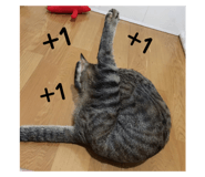 368239196
