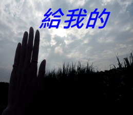 368257449
