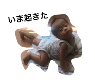368294690