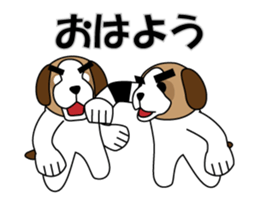 368302646
