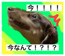368307314