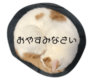 368331188