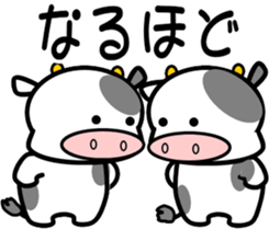 368399316