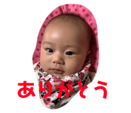 368404563