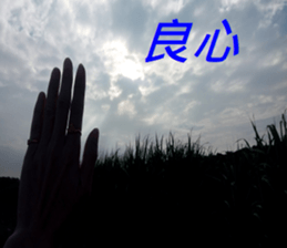 368501712