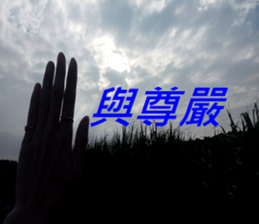 368501713