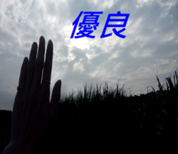 368501716