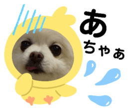 368506824