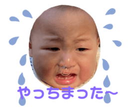 368509079