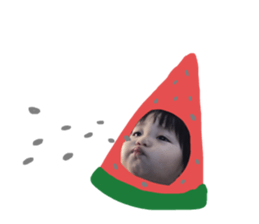 368525018