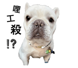 368545097