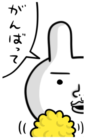368556066