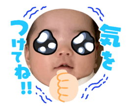 368600814