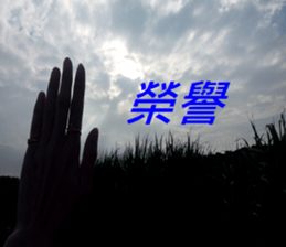 368603954