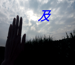 368603955