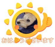 368639436