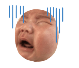 368664466