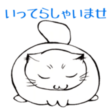 3687275