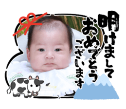 368731644