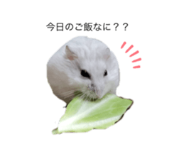 368750478