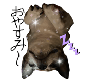 368762514