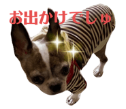 368762520