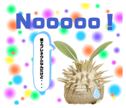 368779196