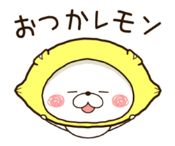 36878961