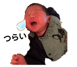 368829442