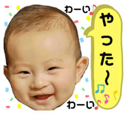 368930454
