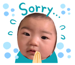 368948044