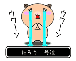 368972612