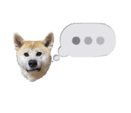 368987603