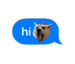 368987604