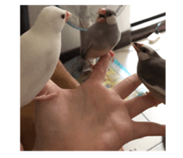 368997970