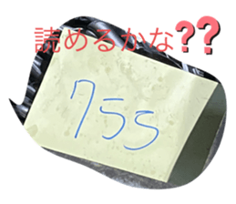 369032117