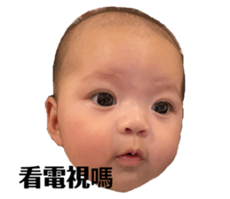 369046258