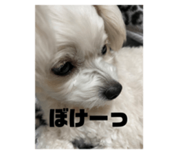 369156913