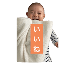 369174113