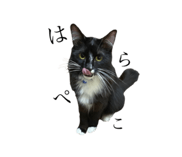 369205025